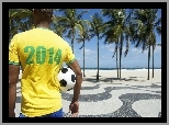 2014, Palmy, Mężczyzna, Mistrzostwa, Świata, Piłka, Brazylia